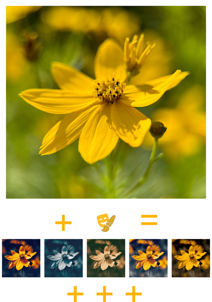 BlaX Macro Camera - User Interface