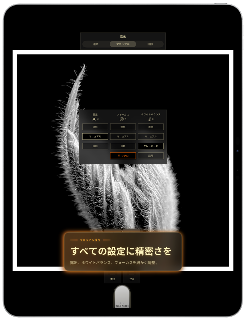 BlaX Macro iPad screenshot 3