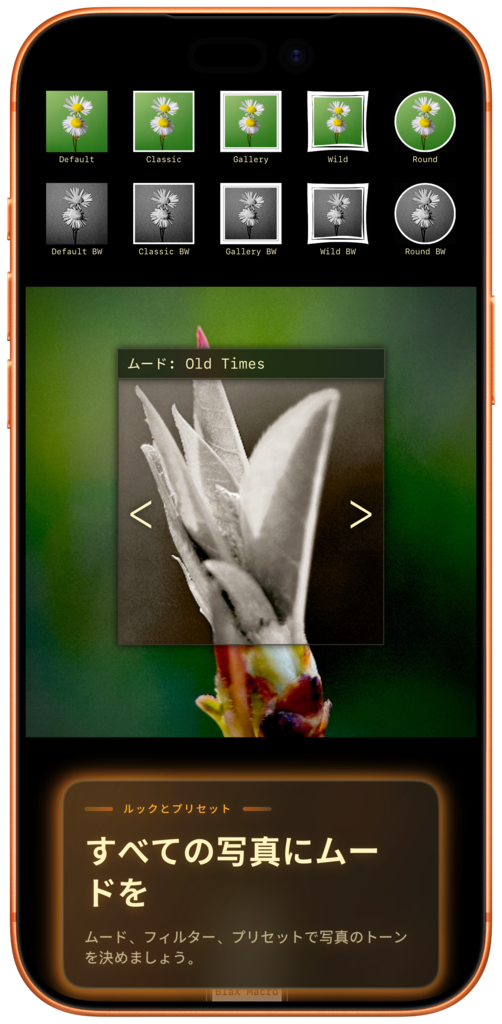 Live viewfinder screenshot iPhone