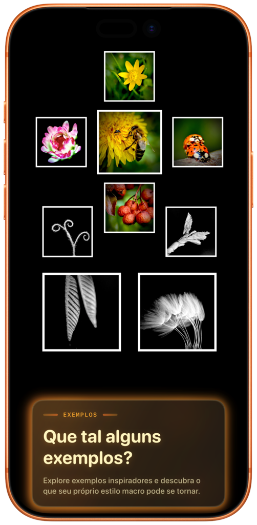 BlaX Macro iPhone screenshot 10